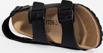 Bayton Mules in Black