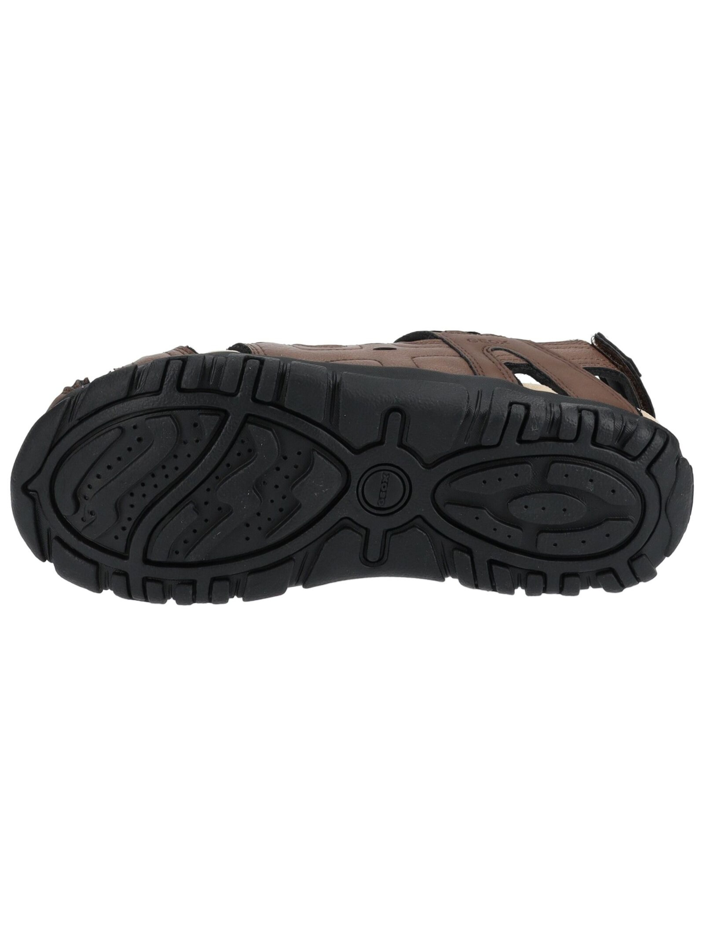 GEOX Sandalen in Bruin