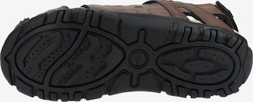 Sandales GEOX en marron