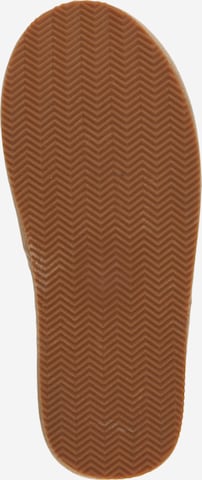 Polo Ralph Lauren Sisäkengät 'KLARENCE' värissä ruskea