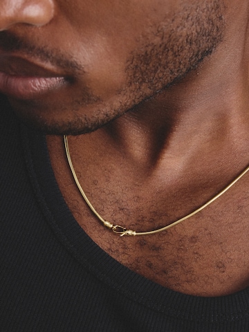 Thomas Sabo Necklace in Gold