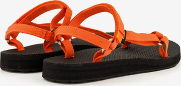 TEVA Hiking Sandals in Orange
