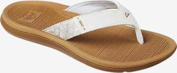 REEF T-Bar Sandals 'Santa Ana' in White