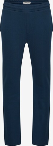 11 Project Regular Broek in Blauw: voorkant