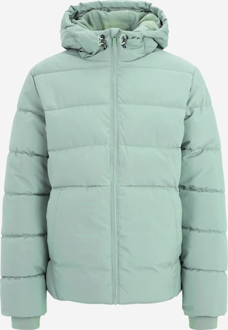 Only & Sons Between-season jacket 'ONSMARVIN' in Green: front
