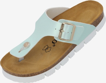 Palado Zehentrenner 'Palado Kos PL Metallic' in Blau: Vorderseite