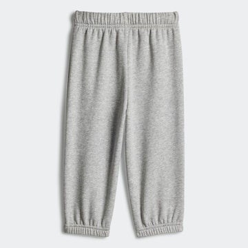 ADIDAS SPORTSWEAR Тренировочный костюм в Серый