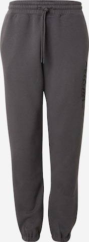 HOLLISTER Tapered Pants in Grey: front