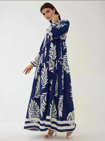 Hiccup Kleid in Blau