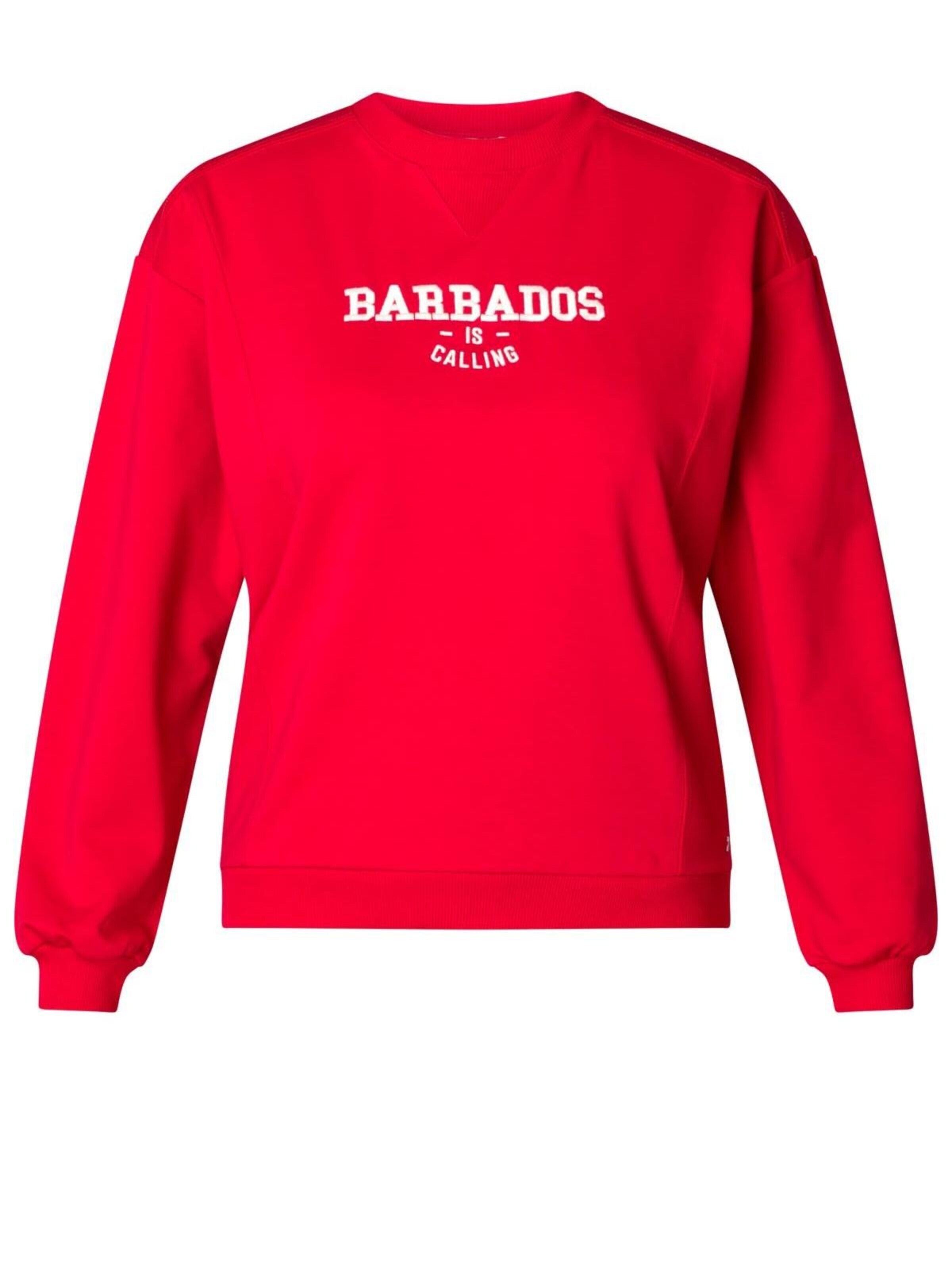 IVY BEAU Sweater 'IVY Beau Sirine sweater rood' in Red: front