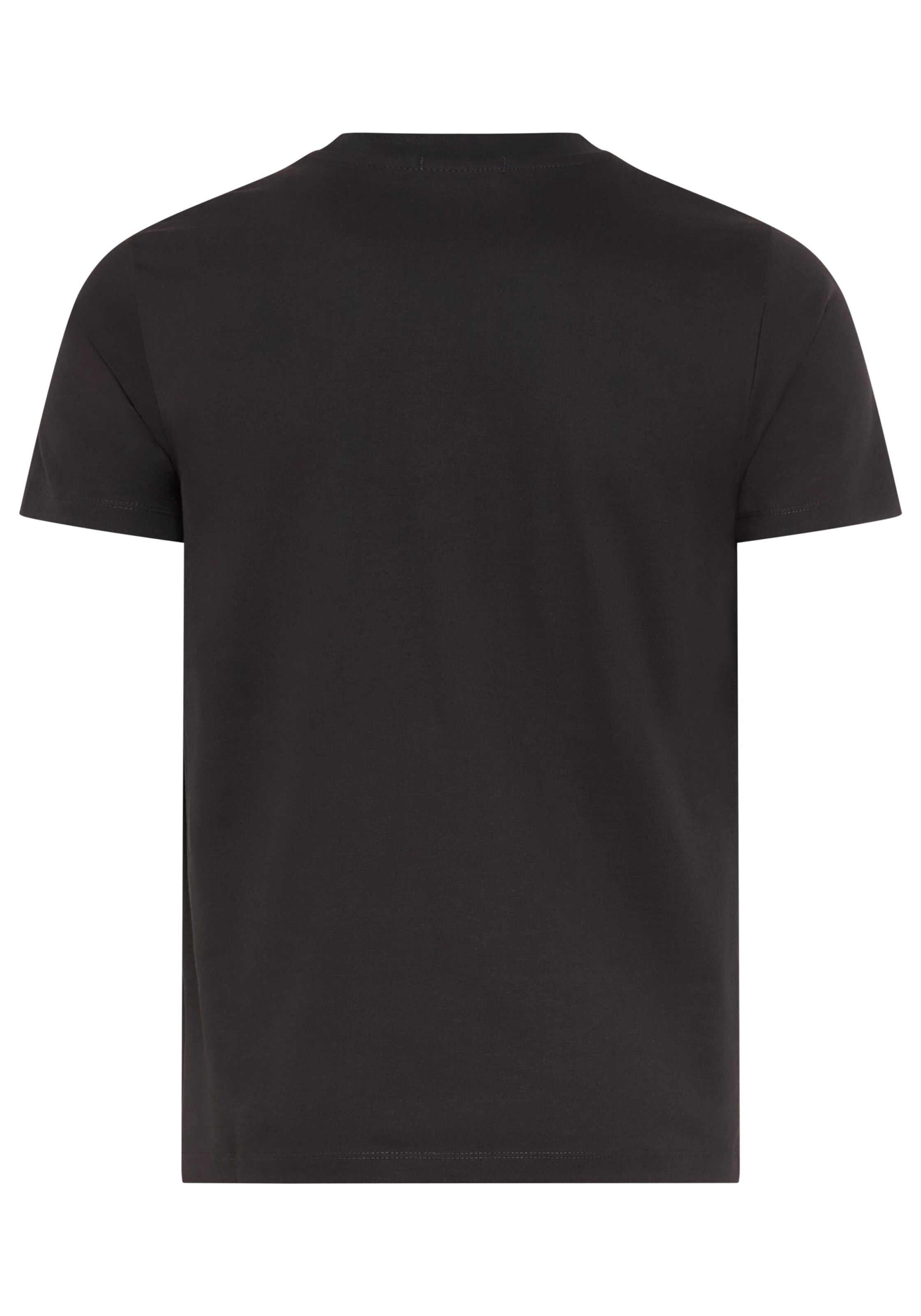 REPLAY Shirt in Grey