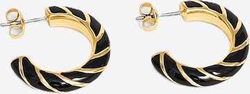 Ted Baker Ohrringe 'TIFFANY' in Gold: Vorderseite