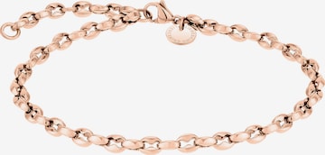 Liebeskind Berlin Foot Jewelry in Gold: front