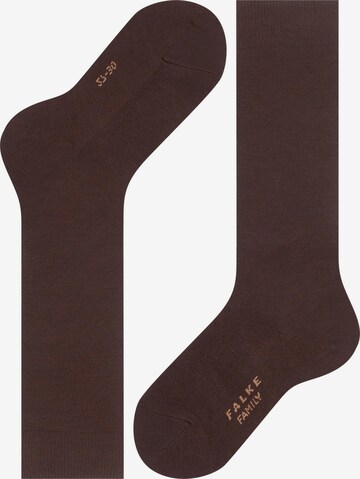 FALKE Socks 'Family' in Brown: front