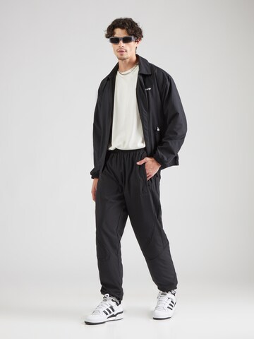 ADIDAS ORIGINALS Свободный крой Штаны 'Teamgeist Adicolor' в Черный