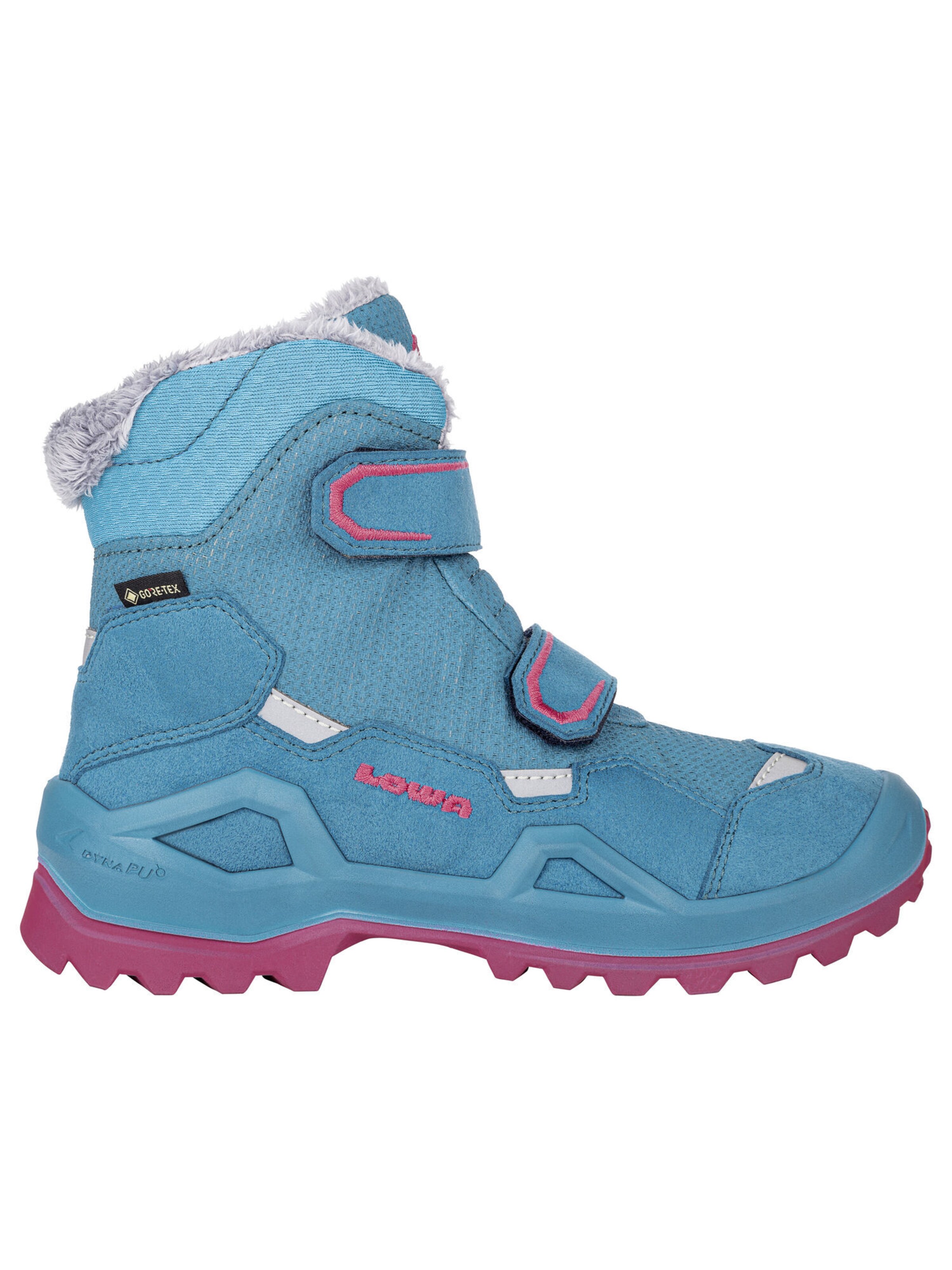 LOWA Boots 'MILO EVO GTX' in Blue
