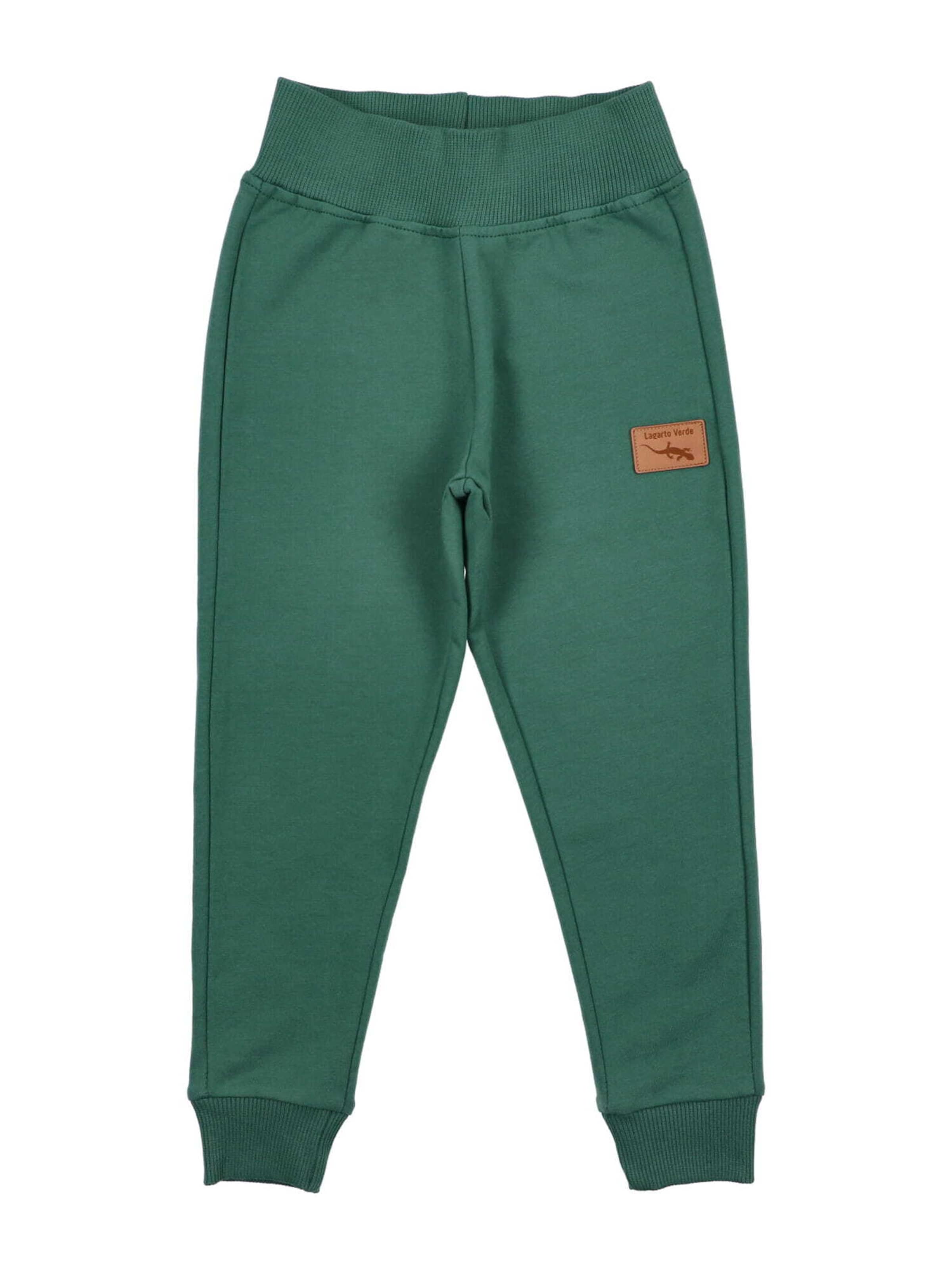 Regular Pantalon de sport Lagarto Verde en vert : devant