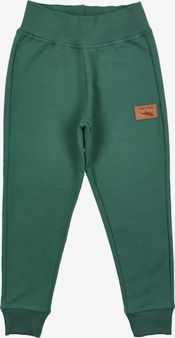 Lagarto Verde Sports trousers in Green: front