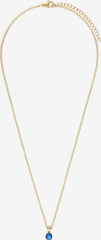 Lucardi Necklace in Gold: front