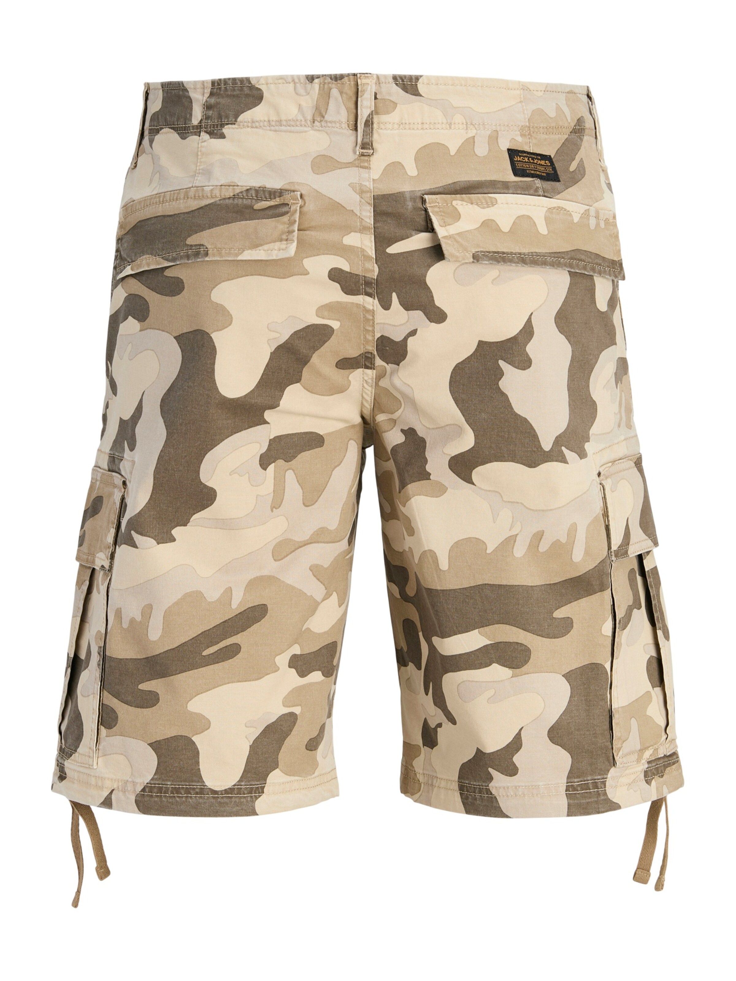 JACK & JONES Regular Карго панталон 'JPSTCOLE FRANK' в зелено