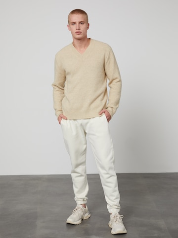 DAN FOX APPAREL Sweater 'Dylan' in Beige