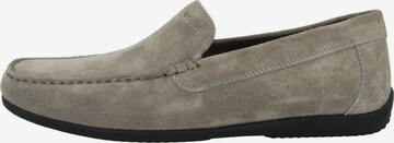 GEOX Moccasins 'Ascanio' in Grey