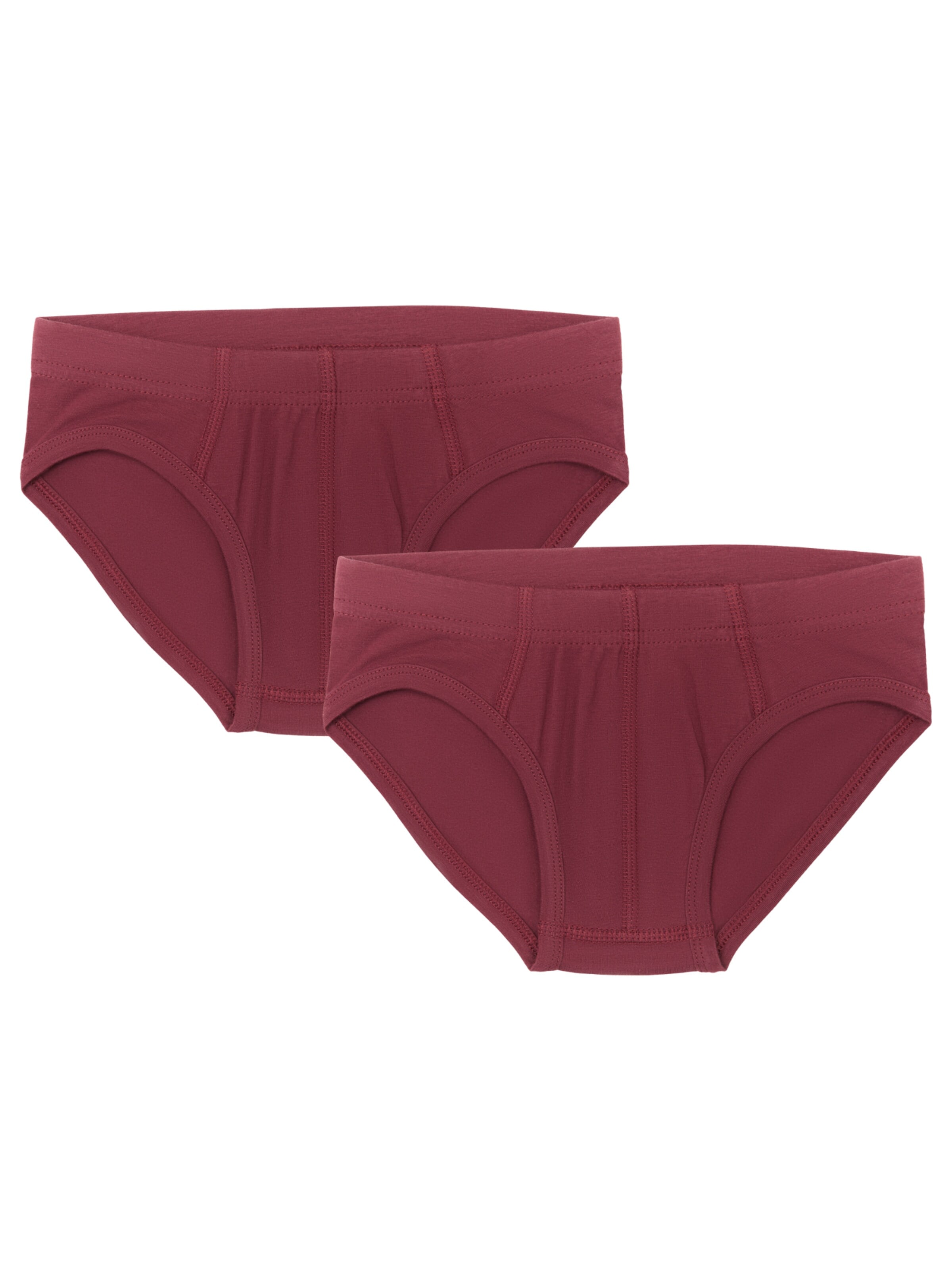 Albero Natur Underpants 'Bio-Baumwoll-Jungenslip-2er Pack' in Red: front