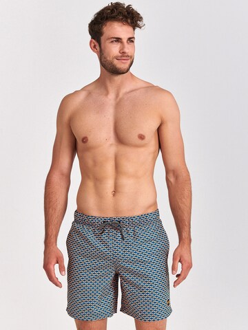 Shorts de bain Shiwi en bleu : devant