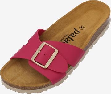 Palado Pistokkaat 'Tinos' värissä vaaleanpunainen: etupuoli