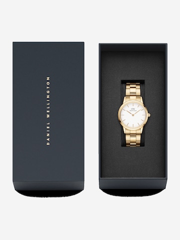 Daniel Wellington Analog Watch 'Iconic Link G White' in Gold