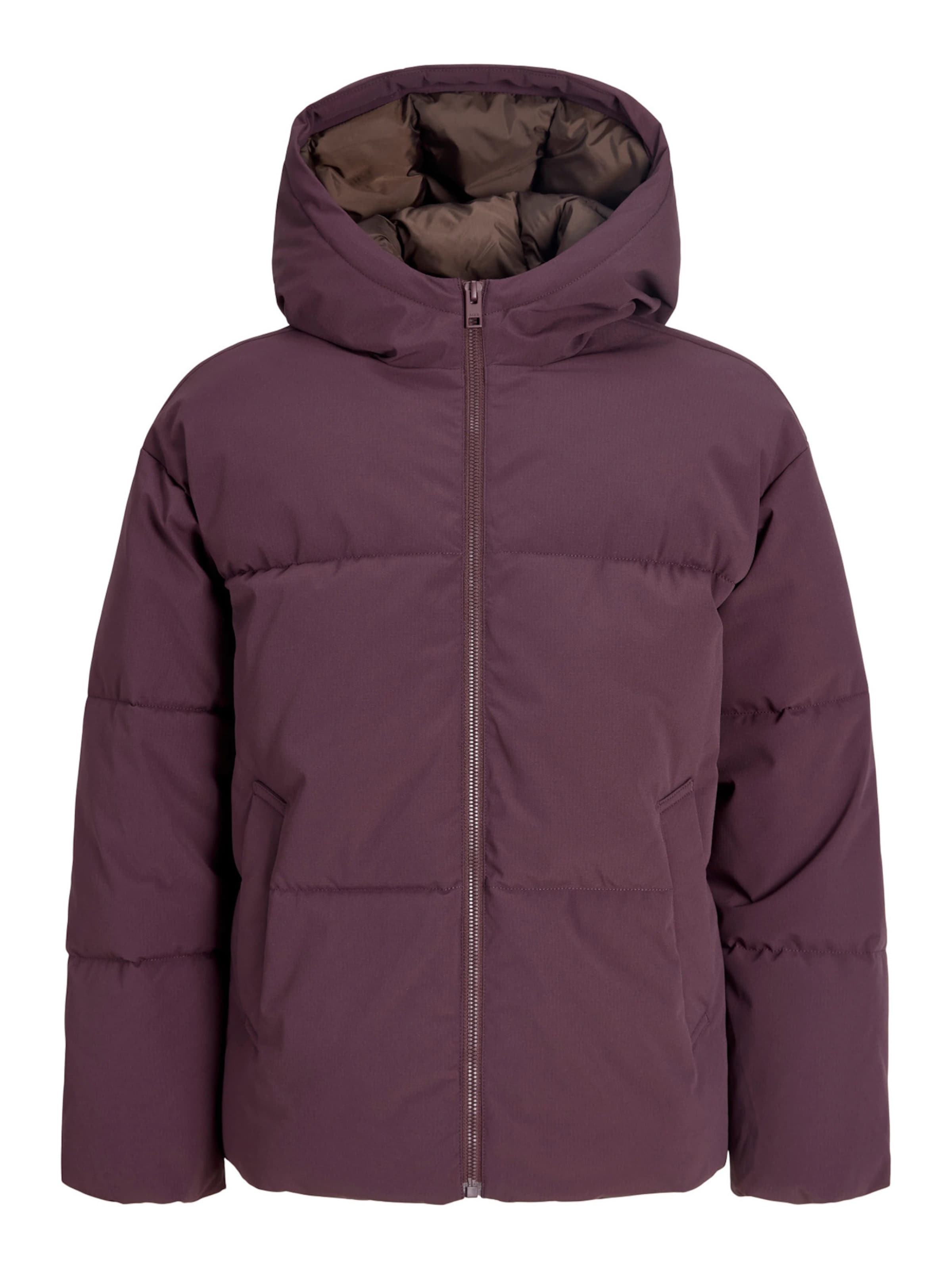 JJXX Winter Jacket 'JXGALAXY' in Purple: front