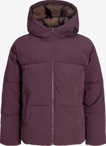 JJXX Winter Jacket 'JXGALAXY' in Purple: front