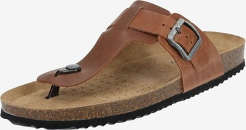 GEOX T-Bar Sandals in Brown: front