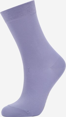 FALKE Socks 'Cotton Touch' in Purple: front