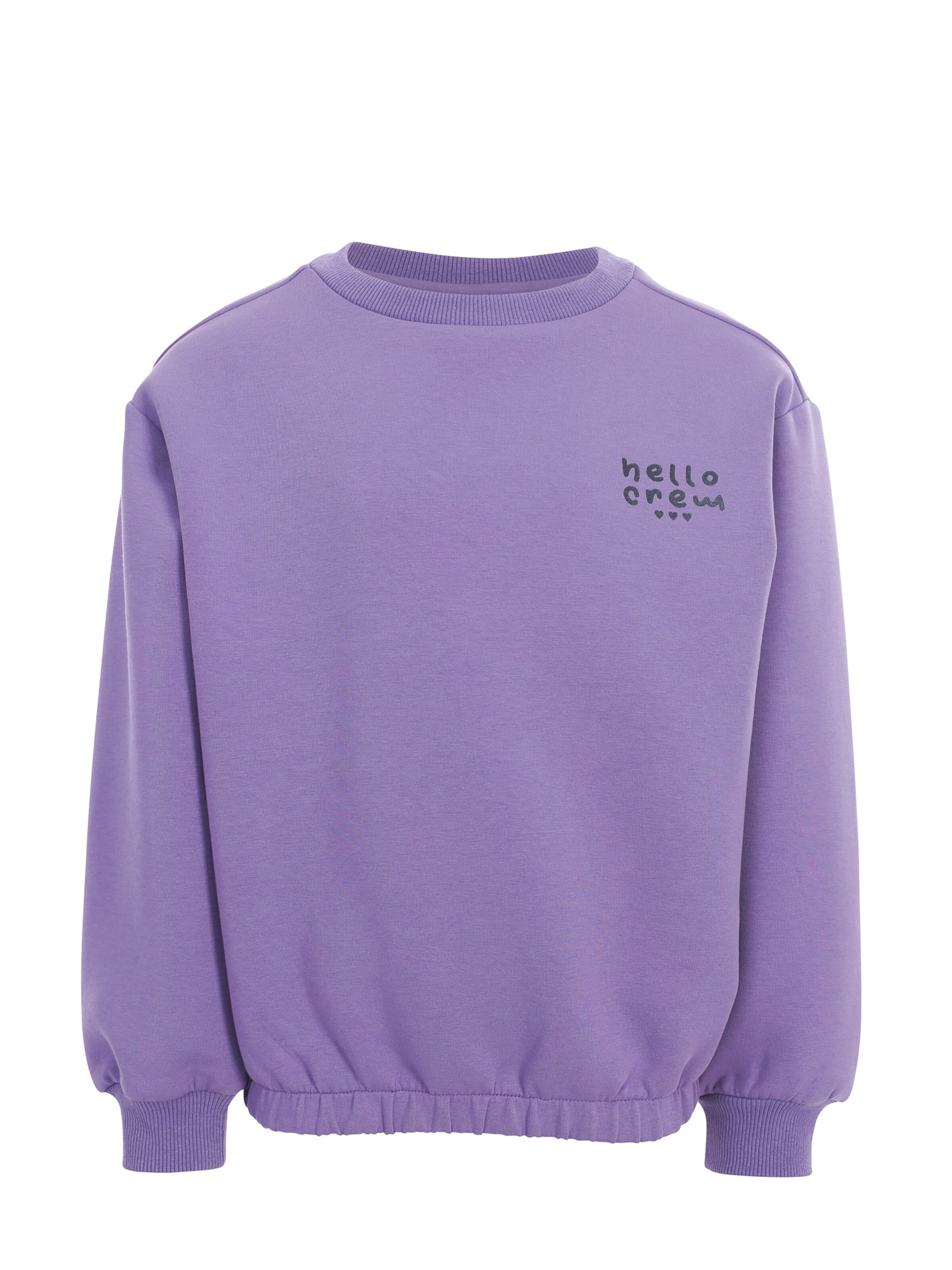Looxs Revolution Sweatshirt in Lila: voorkant