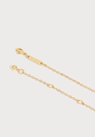 Collana 'MILEY' di Ted Baker in oro