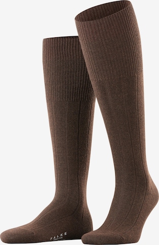 FALKE Knee High Socks 'Lhasa Rib' in Brown: front