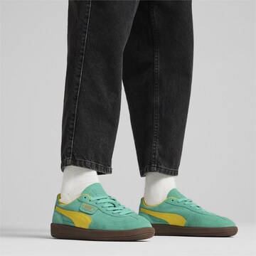 PUMA Sneaker 'Palermo ' in Grün: Vorderseite