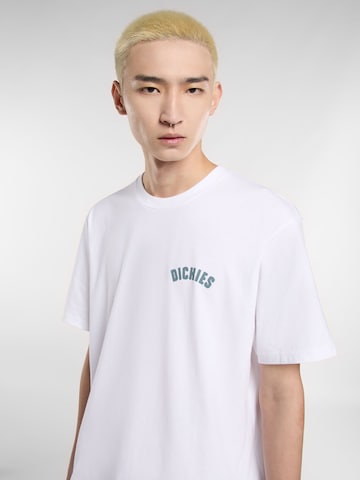 DICKIES Majica | bela barva