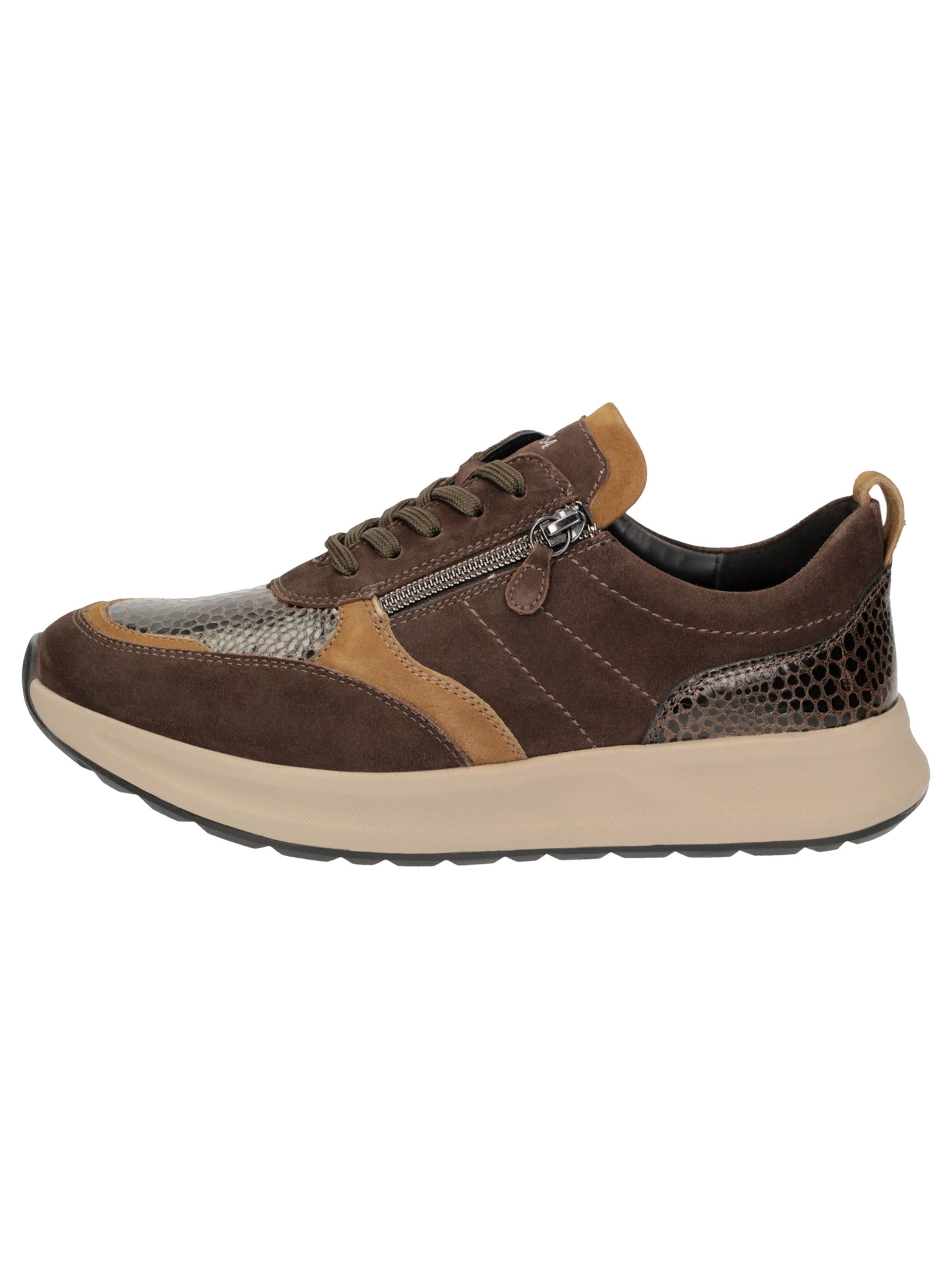 SIOUX Sneakers laag ' Sunivla-704-J ' in Bruin