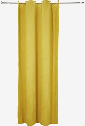 TOM TAILOR Curtains & Drapes in Yellow: front