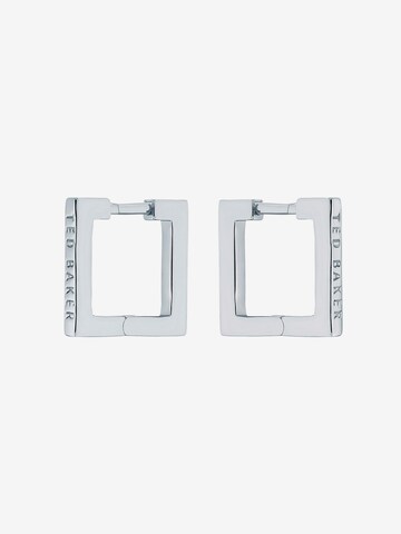 Ted Baker Earrings 'SENRII' in Silver