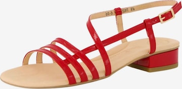 Sandales à lanières Paul Green en rouge : devant