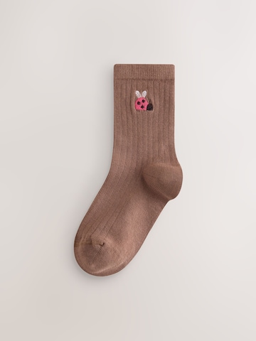 Chaussettes 'Rich' Next en marron