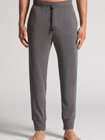INTIMISSIMI Tapered Hose in Grau: Vorderseite