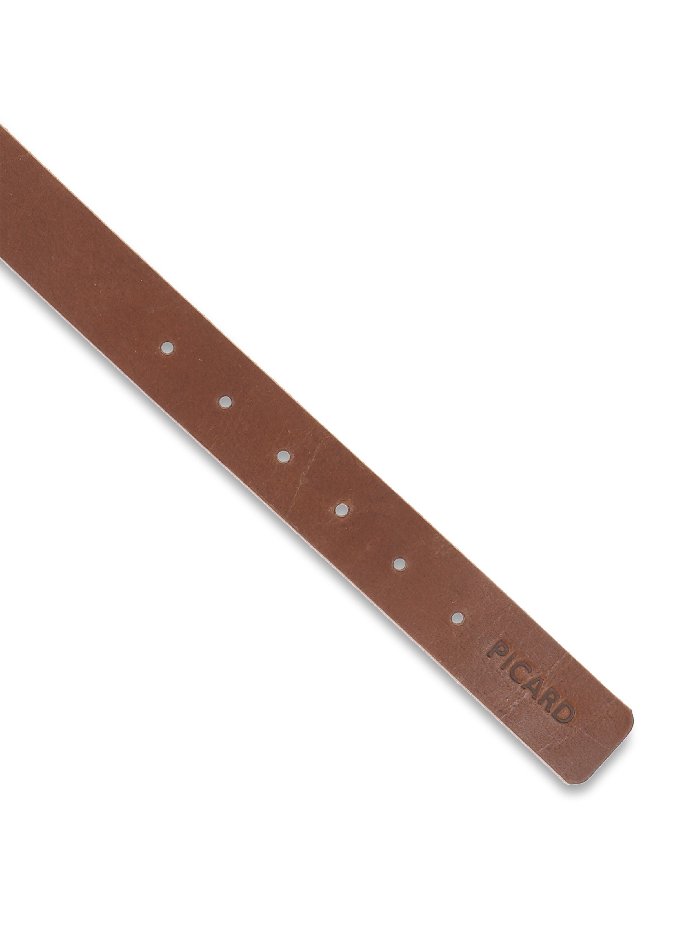 Picard Hundehalsband 'Strolch' in Braun