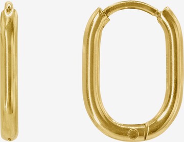 Heideman Earrings 'Festus ' in Gold