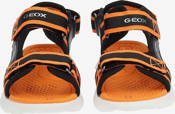 GEOX Sandale in Orange