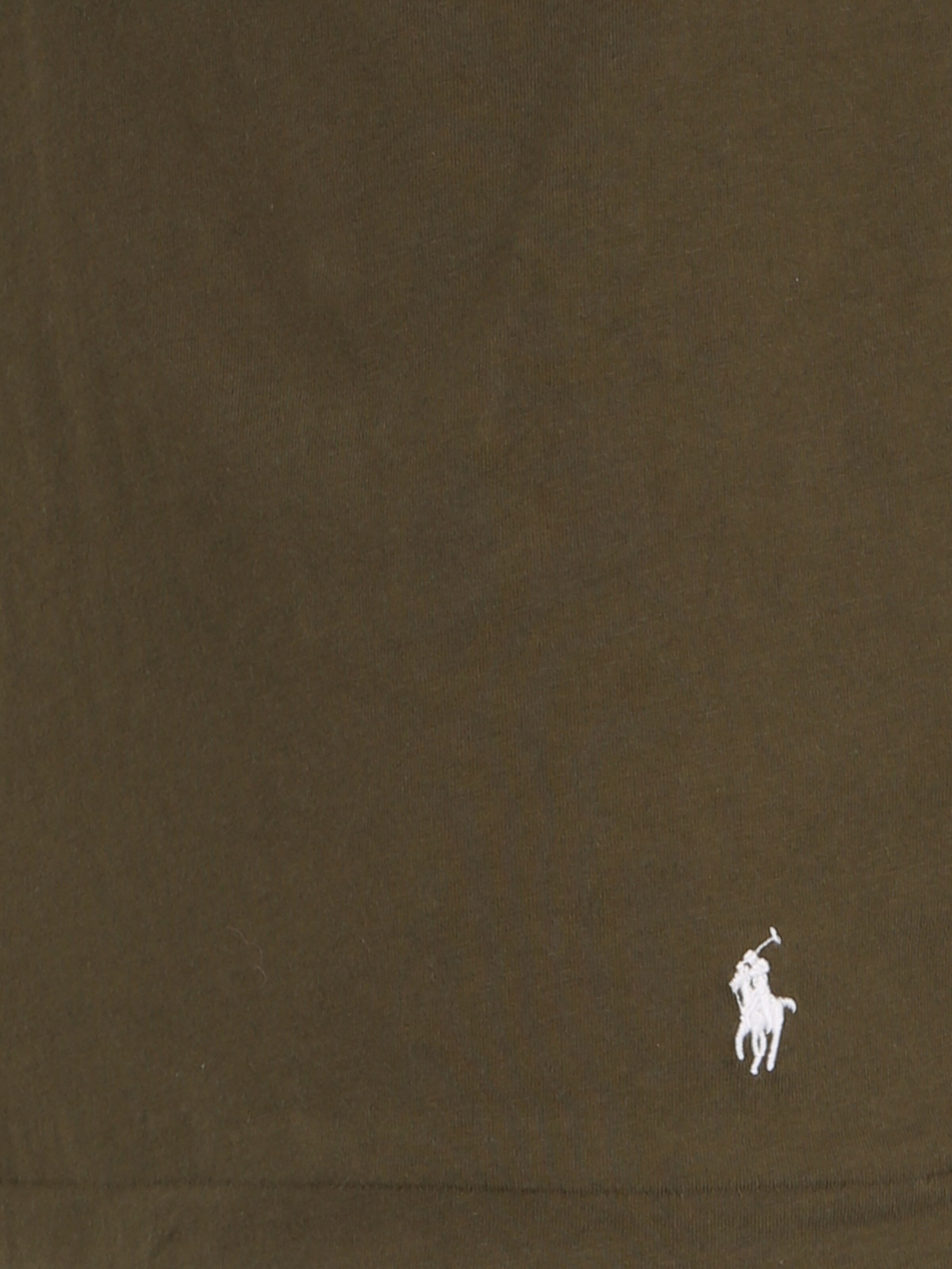 Polo Ralph Lauren Φανέλα 'Spring Start' σε πράσινο