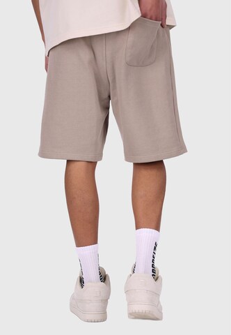 Dropsize Loosefit Broek in Grijs